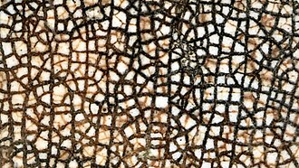 ceramic cracks
